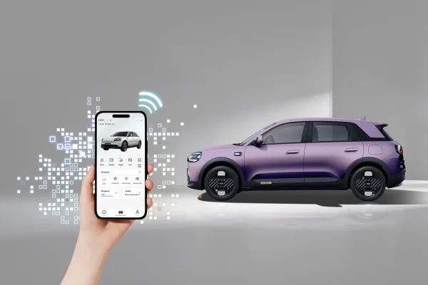 CHERY Q